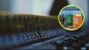 Conocida cervecería valdiviana devuelve a la naturaleza el agua más limpia que cuando la utilizó