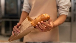 Castaño abre nuevas ofertas laborales: Revisa los cargos disponibles y cómo postular