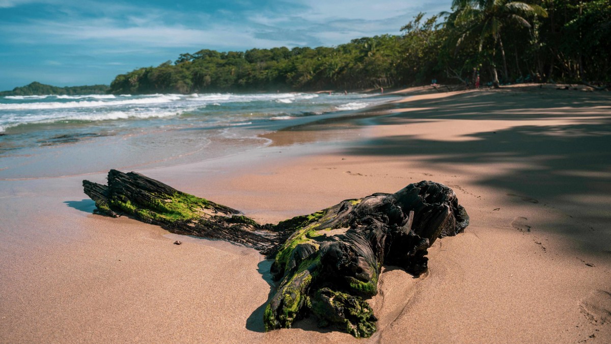 Plan de jubilación: Estos dos países de Latinoamérica con playas de ensueño y bosques tropicales ofrecen visas para jubilados