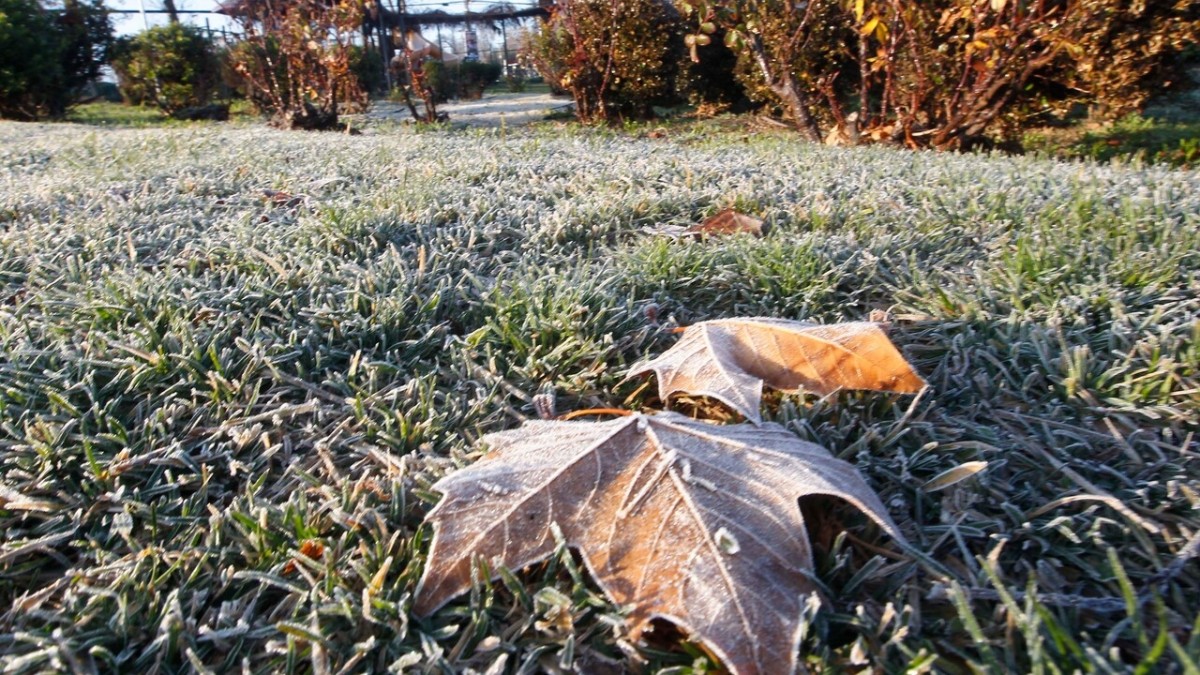 Solo 1° en la RM: Meteorología emite advertencia por heladas extremas para seis regiones de la zona central y centro-sur