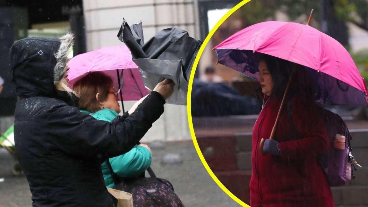 Hasta 35 milímetros 'en corto período de tiempo': Emiten avisos por lluvias y vientos de hasta 80 km/h en zonas de tres regiones