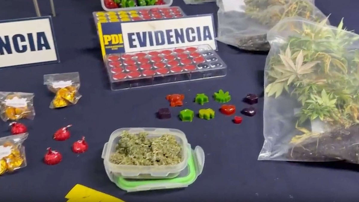 PDI desbarata laboratorio de drogas en La Florida: Vendían aceites y comestibles de cannabis por redes sociales