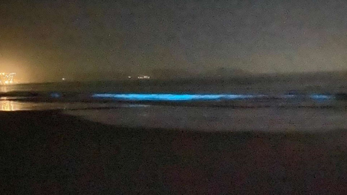 Video muestra fenómeno de bioluminiscencia en la Playa Guanaqueros: ¿A qué se debe el evento natural?