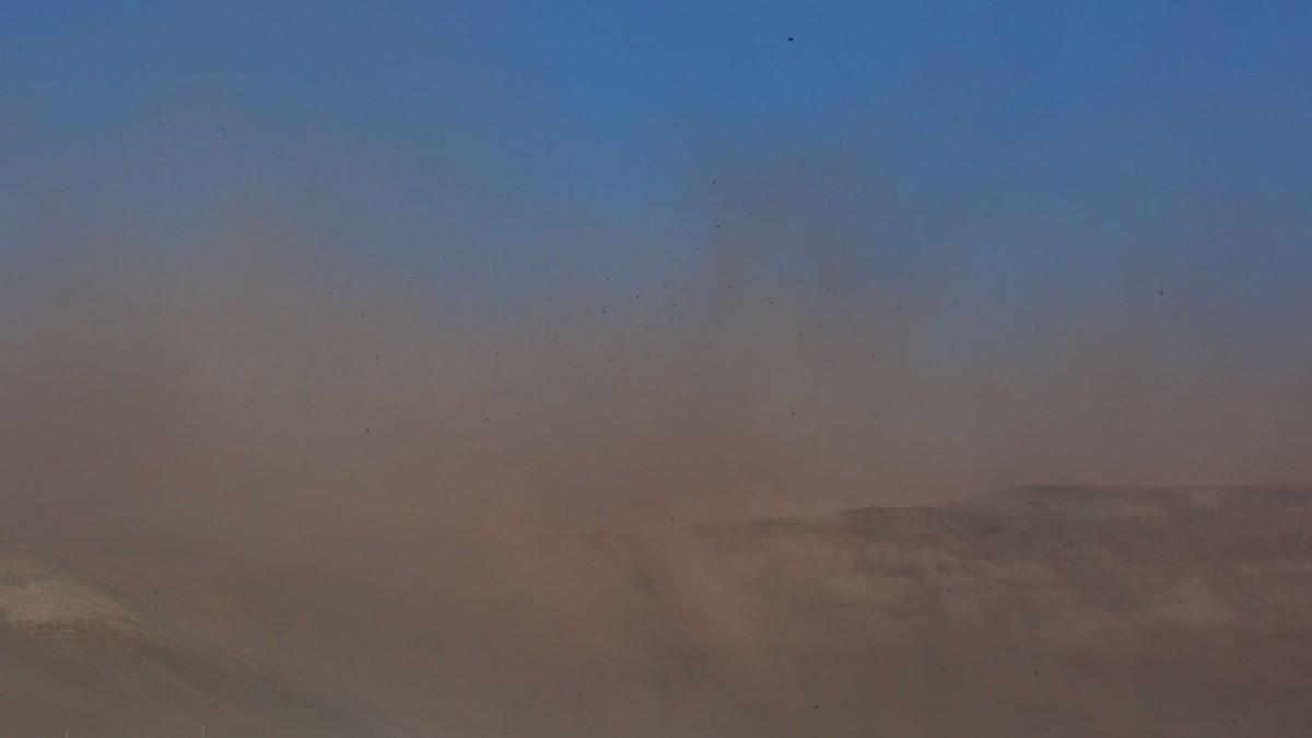 'Desarrollo de tormentas de arena': Meteorología emite alerta por viento en sector de una región del país