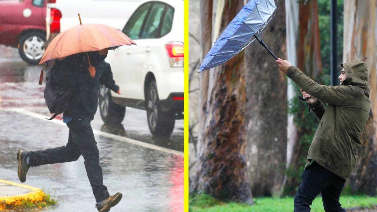 Meteorología emite avisos por sistema frontal en cuatro regiones: Dejará hasta 45 mm de lluvias y rachas de viento de 80 km/h