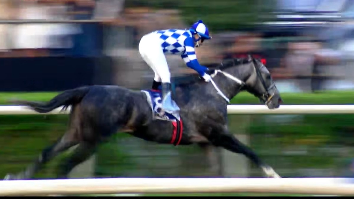 ¡Triunfo histórico de Chile! El pura sangre Teao se queda con el Gran Premio Latinoamericano de la hípica