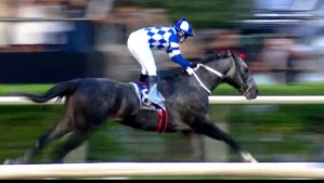 ¡Triunfo histórico de Chile! El pura sangre Teao se queda con el Gran Premio Latinoamericano de la hípica