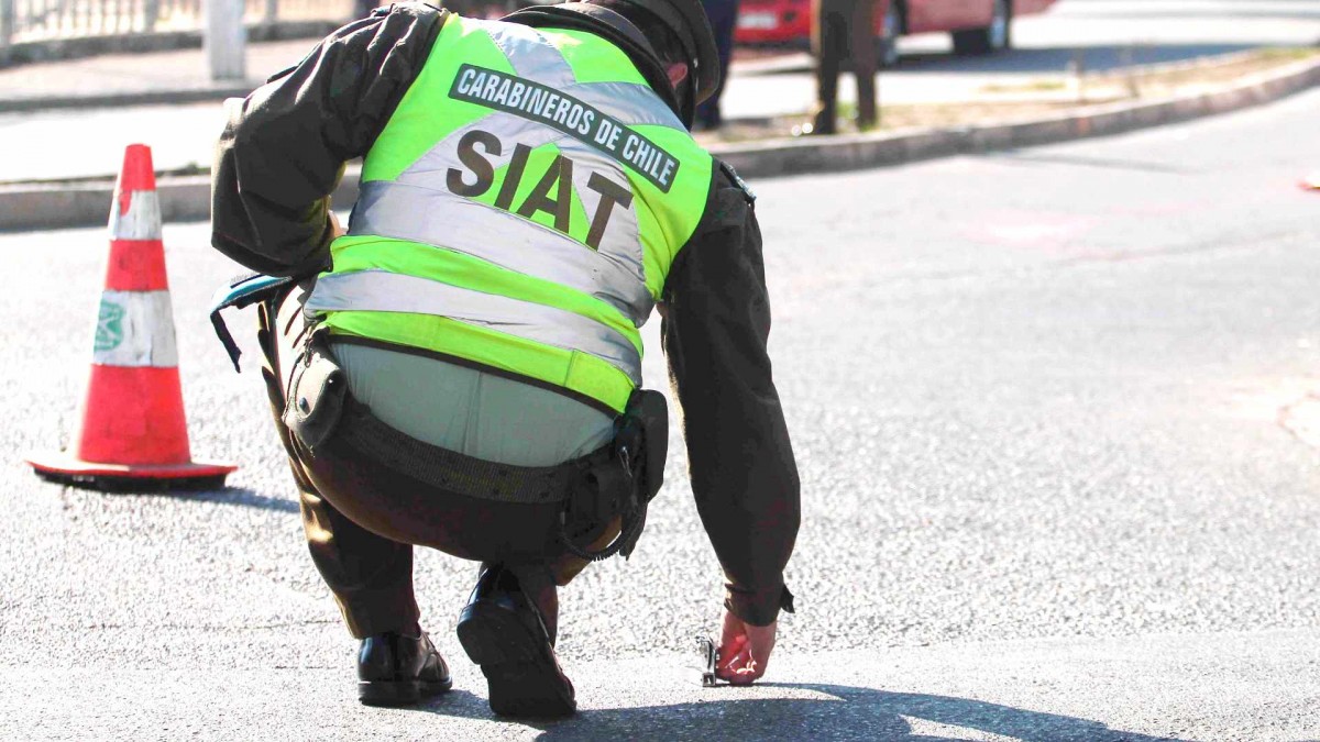Conductora está grave tras chocar contra una palmera en Viña del Mar: Le habrían lanzado un carro de supermercado