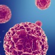 Investigadores de la Universidad Hebrea de Jerusalén identificaron una forma desconocida en que las células producen proteínas que impulsan el cáncer, un hallazgo que podría mejorar los tratamientos para pacientes con mutaciones específicas.