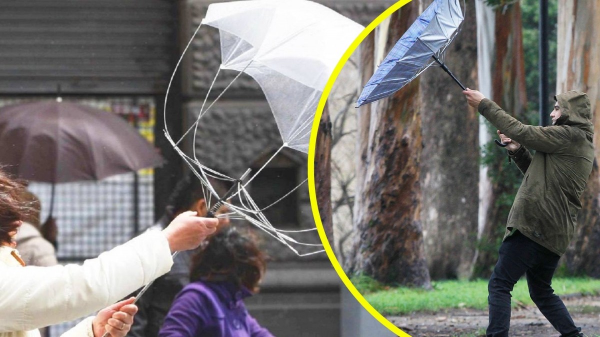 Sistema frontal en el sur: Meteorología emite aviso por 'viento normal a moderado' con rachas de hasta 80 km/h