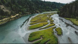 Es oficial: entra en vigor ley que limita la navegación motorizada en este río de Estados Unidos y las reglas podrían endurecerse