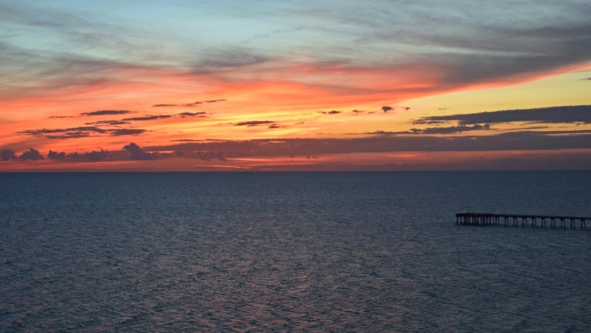 Alerta en el Golfo de Panamá: El 'motor' de la vida marina se apaga por el cambio climático
