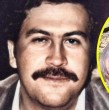 Conoce detalles sobre la intención del hijo de un multimillonario indio de cuidar a los hipopótamos de Pablo Escobar, con el fin de evitar que sean sacrifiados como planean las autoridades colombianas.