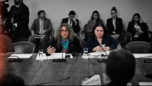 Otro flanco para Seguridad y Steinert: Subsecretaria de Prevención de Delito defendió a imputados por crimen organizado