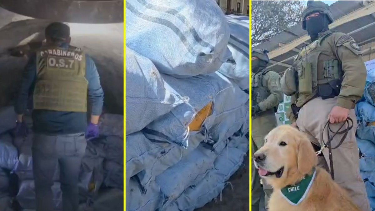 Histórica incautación de drogas en el norte: Decomiso de más de 4,6 toneladas es el segundo más grande de Chile