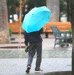 Revisa el pronóstico del tiempo para el fin de semana largo: lluvias, chubascos, viento y posibles precipitaciones en algunas zonas, según la Dirección Meteorológica de Chile.