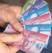 Para que un empleador esté obligado a pagar la gratificación legal, la normativa de la Dirección del Trabajo (DT) establece que la empresa debe cumplir con ciertas condiciones específicas.