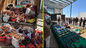 Operativo conjunto en Arica: decomisan armas y 130 kilos de droga
