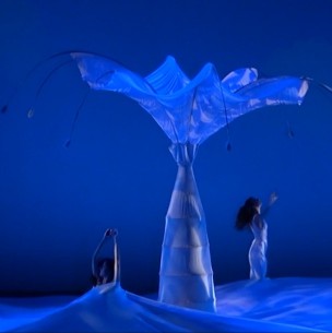 MOMIX regresa a Chile con 'Botánica', un espectáculo que mezcla danza, naturaleza e ilusión