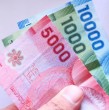 Conoce cuál es la condición que debes aceptar para poder recibir el Bono de Protección, beneficio que va en ayuda de las madres que cumplen el rol de jefas de hogar.
