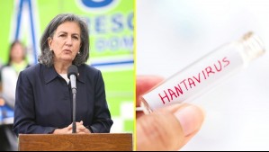 Minsal emite comunicado por hantavirus.