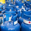 El objetivo del Subsidio de Gas Licuado es ayudar oportunamente a las familias, facilitando la adquisición de este combustible en el distribuidor de su preferencia para enfrentar los meses más fríos del año