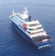 La Organización Mundial de la Salud (OMS) dijo este viernes que por ahora se han confirmado seis casos de hantavirus de un total de ocho sospechosos notificados tras la aparición del brote a bordo de un crucero en el Atlántico.