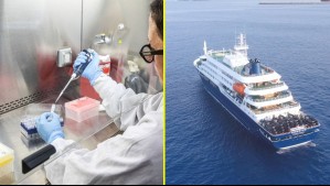 La OMS confirma hasta ahora seis casos de hantavirus tras brote en crucero