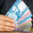 Aunque existe un límite de ingresos para cobrar el Bono Invierno, la normativa establece una excepción favorable para aquellos adultos mayores que reciben la PGU como único ingreso mensual