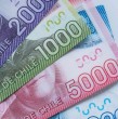 Aunque el objetivo de la PGU es ser masiva, la ley establece un límite de ingresos para asegurar que llegue a quienes más lo necesitan. No se trata solo de tener la edad, sino también de cumplir los márgenes financieros