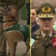 Un operativo en la región de Coquimbo arrojó la incautación de casi una tonelada de droga por parte de Carabineros. Según información policial, se detuvo a un sujeto, quien en las próximas horas pasará a control de detención.