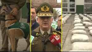 Decomisan casi una tonelada de droga en la región de Coquimbo: General destacó trabajo de personal y canes de la institución