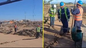 Toma con conexión eléctrica subterránea provocaba bajas de voltaje en La Serena: 'Acá hay personas que saben de esto'