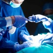 Una mujer denunció que le dejaron tijeras en el abdomen tras una abdominoplastia en Italia. Sufrió dolor extremo, desmayos e infección antes de que una tomografía revelara el objeto olvidado.