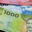 El Seguro de Cesantía Este beneficio permite a los trabajadores dependientes acceder a los ahorros acumulados en su Cuenta Individual para solventar sus gastos mientras se reinsertan al mercado laboral