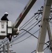 Enel Distribución anunció cortes de luz en algunas comunas de la Región Metropolitana para este martes 12 de mayo. Esto se debe a trabajos en la red eléctrica que se pueden extender por varias horas.