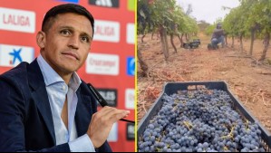 Alexis Sánchez sorprende con su viña 'AlmaSoul': Mostró la vendimia y su nueva faceta fuera del fútbol