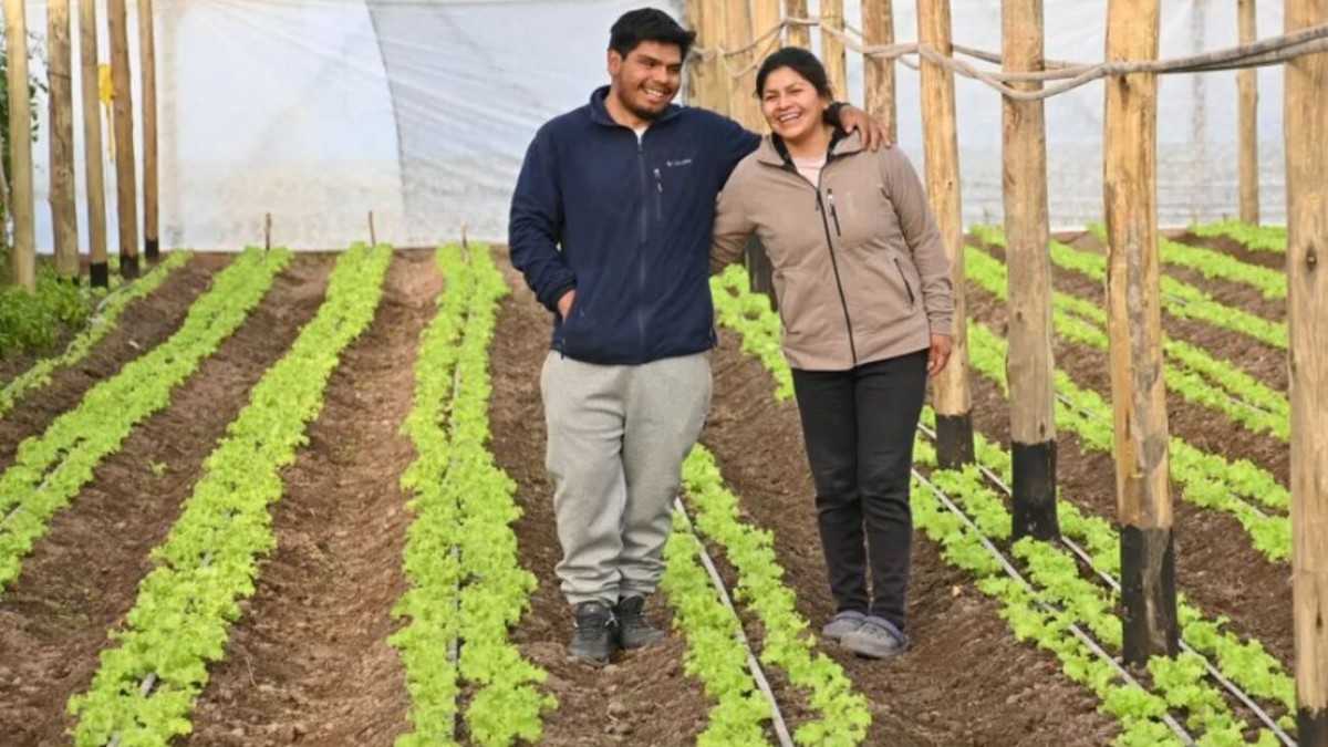 Unidos por el amor y la tierra: Pareja se muda a la Patagonia y aprende a cultivar en sus propios invernaderos