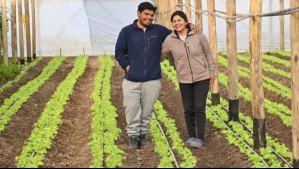 Unidos por el amor y la tierra: Pareja se muda a la Patagonia y aprende a cultivar en sus propios invernaderos