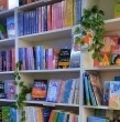 La librería Café Entre Páginas sorprendió a sus seguidores tras anunciar el cierre definitivo de su local en Providencia, poniendo fin a una etapa que durante años reunió a amantes de la lectura, y la cultura en Santiago.