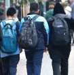 Listo para ser votado por la Sala del Senado quedó el proyecto que establece medidas de seguridad, orden y respeto para la comunidad educativa, más conocido como Escuelas Protegidas.