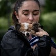 Lazare, un perro francés de 30 años, murió días después de ser adoptado mientras buscaba ser reconocido como el más longevo del mundo. Su historia reabre el debate sobre los récords caninos.