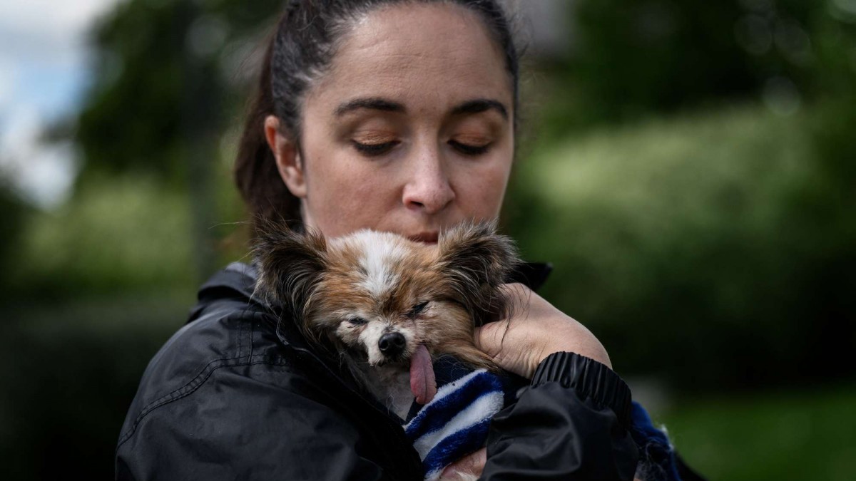 Muere a los 30 años Lazare, el perro que buscaba ser el más longevo del mundo