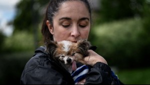 Muere a los 30 años Lazare, el perro que buscaba ser el más longevo del mundo