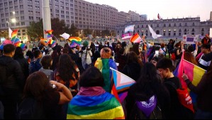 Día contra la Homofobia: Marcha en el centro de Santiago apuntó contra retrocesos en derechos y recortes sociales del Gobierno