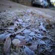 La Dirección Meteorológica informó que Santiago vivió la mañana más fría del año y varias ciudades del país registraron temperaturas bajo cero. Revisa el pronóstico para los próximos días.