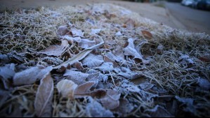 Meteorología reporta que Santiago registra la mañana más fría del año: Región Metropolitana alcanza temperaturas bajo cero