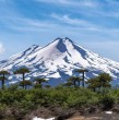 La noche de este domingo se confirmó el fallecimiento de una excursionista que sufrió un accidente mientras realizaba senderismo en el volcán Llaima, ubicado en el Parque Nacional Conguillío de la región de La Araucanía. ¡Detalles!