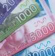 Conoce cuál es el plazo que tienes para cobrar los $66.834 que otorga el Aporte Familiar Permanente, beneficio conocido popularmente como el Ex Bono Marzo. ¡Revisa las fechas!