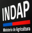 Contraloría detectó graves irregularidades en INDAP: créditos a personas con antecedentes penales, con vehículos de lujo y más de $5.400 millones impagos. El informe exige medidas correctivas en 60 días.